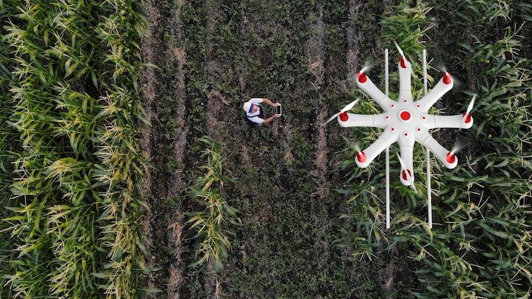 Vodafone apresenta soluções de IoT agrícola